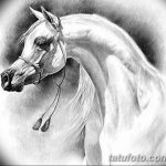 фото Эскизы тату конь от 29.09.2017 №143 - Sketches of a horse tattoo - tatufoto.com