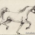 фото Эскизы тату конь от 29.09.2017 №145 - Sketches of a horse tattoo - tatufoto.com