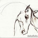 фото Эскизы тату конь от 29.09.2017 №155 - Sketches of a horse tattoo - tatufoto.com