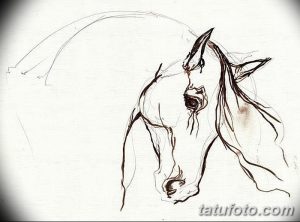Фото эскиза тату лошади, выполненного тонкими линиями. Минимализм, графика, контурный рисунок, идея для татуировки на руку или ногу.