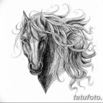 фото Эскизы тату конь от 29.09.2017 №164 - Sketches of a horse tattoo - tatufoto.com
