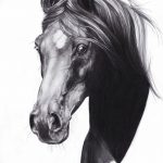 фото Эскизы тату конь от 29.09.2017 №166 - Sketches of a horse tattoo - tatufoto.com