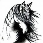 фото Эскизы тату конь от 29.09.2017 №171 - Sketches of a horse tattoo - tatufoto.com
