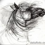 фото Эскизы тату конь от 29.09.2017 №172 - Sketches of a horse tattoo - tatufoto.com