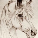 фото Эскизы тату конь от 29.09.2017 №173 - Sketches of a horse tattoo - tatufoto.com
