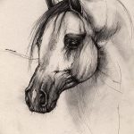 фото Эскизы тату конь от 29.09.2017 №175 - Sketches of a horse tattoo - tatufoto.com