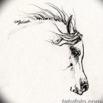 фото Эскизы тату конь от 29.09.2017 №183 - Sketches of a horse tattoo - tatufoto.com