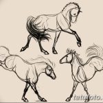 фото Эскизы тату конь от 29.09.2017 №184 - Sketches of a horse tattoo - tatufoto.com