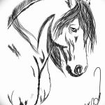 фото Эскизы тату конь от 29.09.2017 №212 - Sketches of a horse tattoo - tatufoto.com