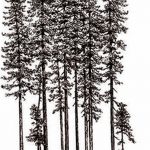 фото Эскизы тату лес от 29.09.2017 №012 - Sketches of a forest tattoo - tatufoto.com