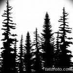 фото Эскизы тату лес от 29.09.2017 №087 - Sketches of a forest tattoo - tatufoto.com 1246612