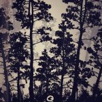 фото Эскизы тату лес от 29.09.2017 №096 - Sketches of a forest tattoo - tatufoto.com