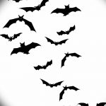 фото Эскизы тату летучая мышь от 27.09.2017 №002 - Sketches a bat tattoo - tatufoto.com