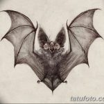 фото Эскизы тату летучая мышь от 27.09.2017 №012 - Sketches a bat tattoo - tatufoto.com