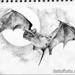 фото Эскизы тату летучая мышь от 27.09.2017 №018 - Sketches a bat tattoo - tatufoto.com