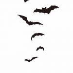 фото Эскизы тату летучая мышь от 27.09.2017 №025 - Sketches a bat tattoo - tatufoto.com