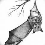 фото Эскизы тату летучая мышь от 27.09.2017 №026 - Sketches a bat tattoo - tatufoto.com