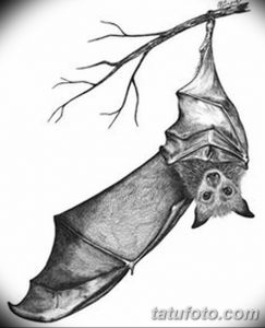 Черно-белое фото тату летучей мыши, висящей вниз головой на ветке дерева. Детализированный рисунок с проработкой крыльев и текстуры шерсти.