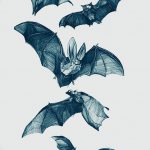 фото Эскизы тату летучая мышь от 27.09.2017 №027 - Sketches a bat tattoo - tatufoto.com