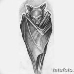 фото Эскизы тату летучая мышь от 27.09.2017 №074 - Sketches a bat tattoo - tatufoto.com