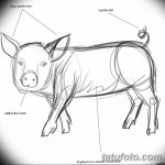 фото Эскизы тату свинья (кабан) от 26.09.2017 №001 - Sketches of a pig - tatufoto.com