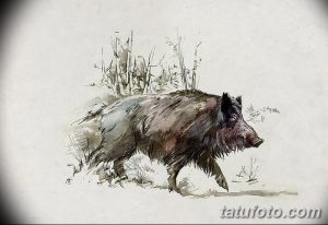 Реалистичный эскиз татуировки с изображением дикого кабана, идущего в зарослях травы. Рисунок выполнен в технике акварели и графики.