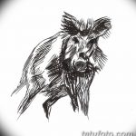 фото Эскизы тату свинья (кабан) от 26.09.2017 №019 - Sketches of a pig - tatufoto.com