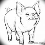 фото Эскизы тату свинья (кабан) от 26.09.2017 №029 - Sketches of a pig - tatufoto.com