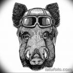 фото Эскизы тату свинья (кабан) от 26.09.2017 №031 - Sketches of a pig - tatufoto.com