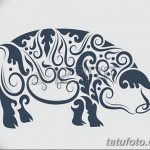 фото Эскизы тату свинья (кабан) от 26.09.2017 №042 - Sketches of a pig - tatufoto.com