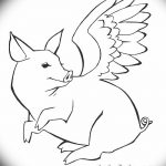фото Эскизы тату свинья (кабан) от 26.09.2017 №056 - Sketches of a pig - tatufoto.com