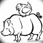 фото Эскизы тату свинья (кабан) от 26.09.2017 №057 - Sketches of a pig - tatufoto.com