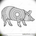 фото Эскизы тату свинья (кабан) от 26.09.2017 №058 - Sketches of a pig - tatufoto.com