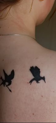фото тату Сойка пересмешница от 25.09.2017 №005 — Tattoo Hunger Games — tatufoto.com