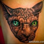 фото тату Сфинкс египет от 29.09.2017 №046 - tattoo sphinx egypt - tatufoto.com