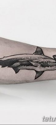 фото тату акула-молот от 25.09.2017 №004 — tattoo hammerhead shark — tatufoto.com