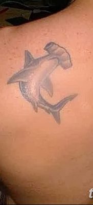 фото тату акула-молот от 25.09.2017 №005 — tattoo hammerhead shark — tatufoto.com