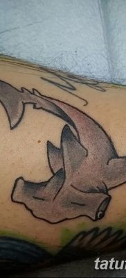 фото тату акула-молот от 25.09.2017 №012 — tattoo hammerhead shark — tatufoto.com