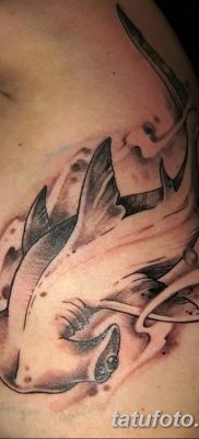 фото тату акула-молот от 25.09.2017 №018 — tattoo hammerhead shark — tatufoto.com