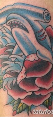 фото тату акула-молот от 25.09.2017 №019 — tattoo hammerhead shark — tatufoto.com