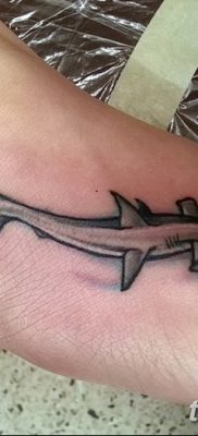 фото тату акула-молот от 25.09.2017 №020 — tattoo hammerhead shark — tatufoto.com