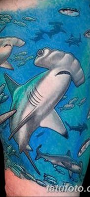 фото тату акула-молот от 25.09.2017 №041 — tattoo hammerhead shark — tatufoto.com