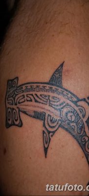 фото тату акула-молот от 25.09.2017 №042 — tattoo hammerhead shark — tatufoto.com