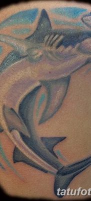 фото тату акула-молот от 25.09.2017 №050 — tattoo hammerhead shark — tatufoto.com