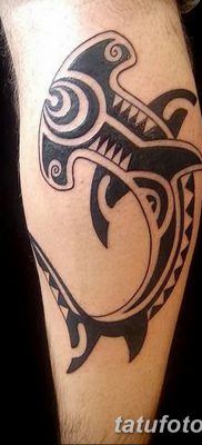 фото тату акула-молот от 25.09.2017 №053 — tattoo hammerhead shark — tatufoto.com