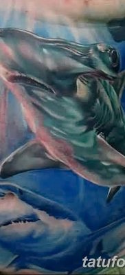 фото тату акула-молот от 25.09.2017 №065 — tattoo hammerhead shark — tatufoto.com