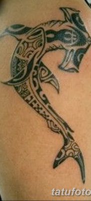 фото тату акула-молот от 25.09.2017 №070 — tattoo hammerhead shark — tatufoto.com