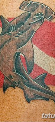 фото тату акула-молот от 25.09.2017 №072 — tattoo hammerhead shark — tatufoto.com