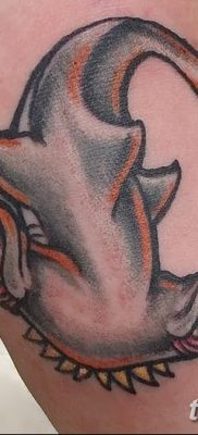 фото тату акула-молот от 25.09.2017 №075 — tattoo hammerhead shark — tatufoto.com