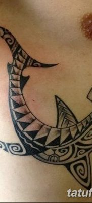 фото тату акула-молот от 25.09.2017 №077 — tattoo hammerhead shark — tatufoto.com